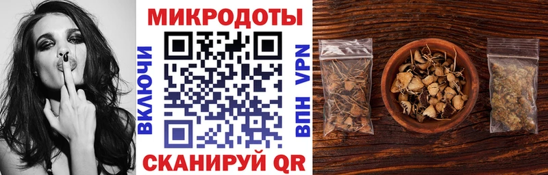 Псилоцибиновые грибы Psilocybe Ладушкин